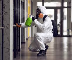 Best Mold Remediation for Healthcare Facilities in Warrior, AL